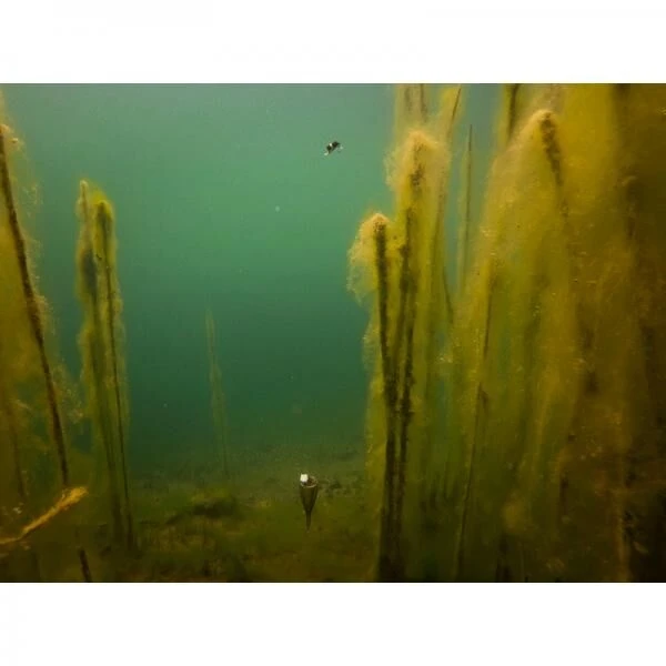 Fox Edges Zig Float Kit - Afbeelding 9