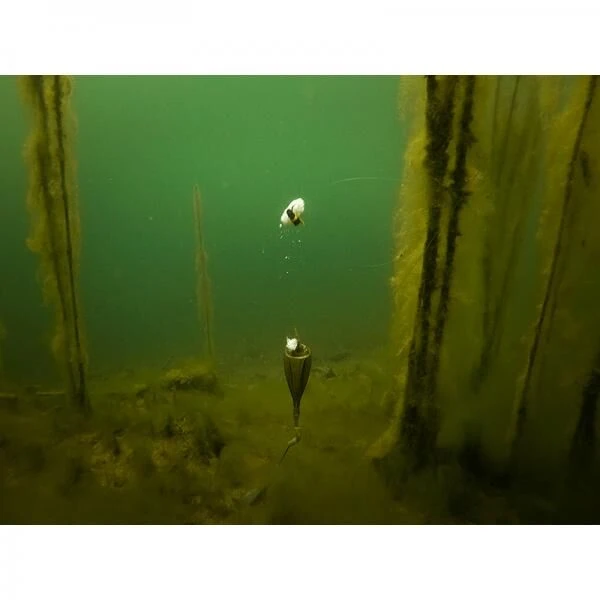 Fox Edges Zig Float Kit - Afbeelding 10