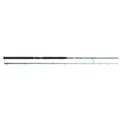 Savage Gear SGS2 Shore Jigging 290cm 20-80g
