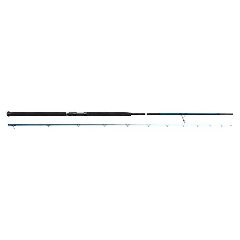 Savage Gear SGS2 Shore Jigging 290cm 20-80g