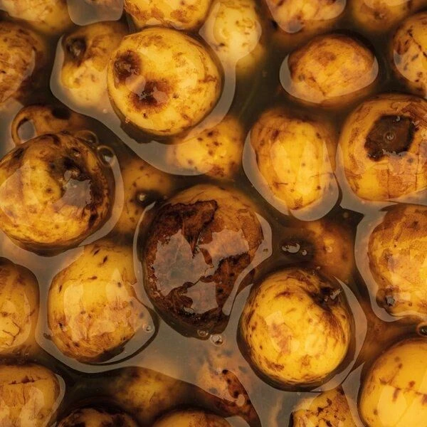 Nash Sweet Tigernuts - Afbeelding 2